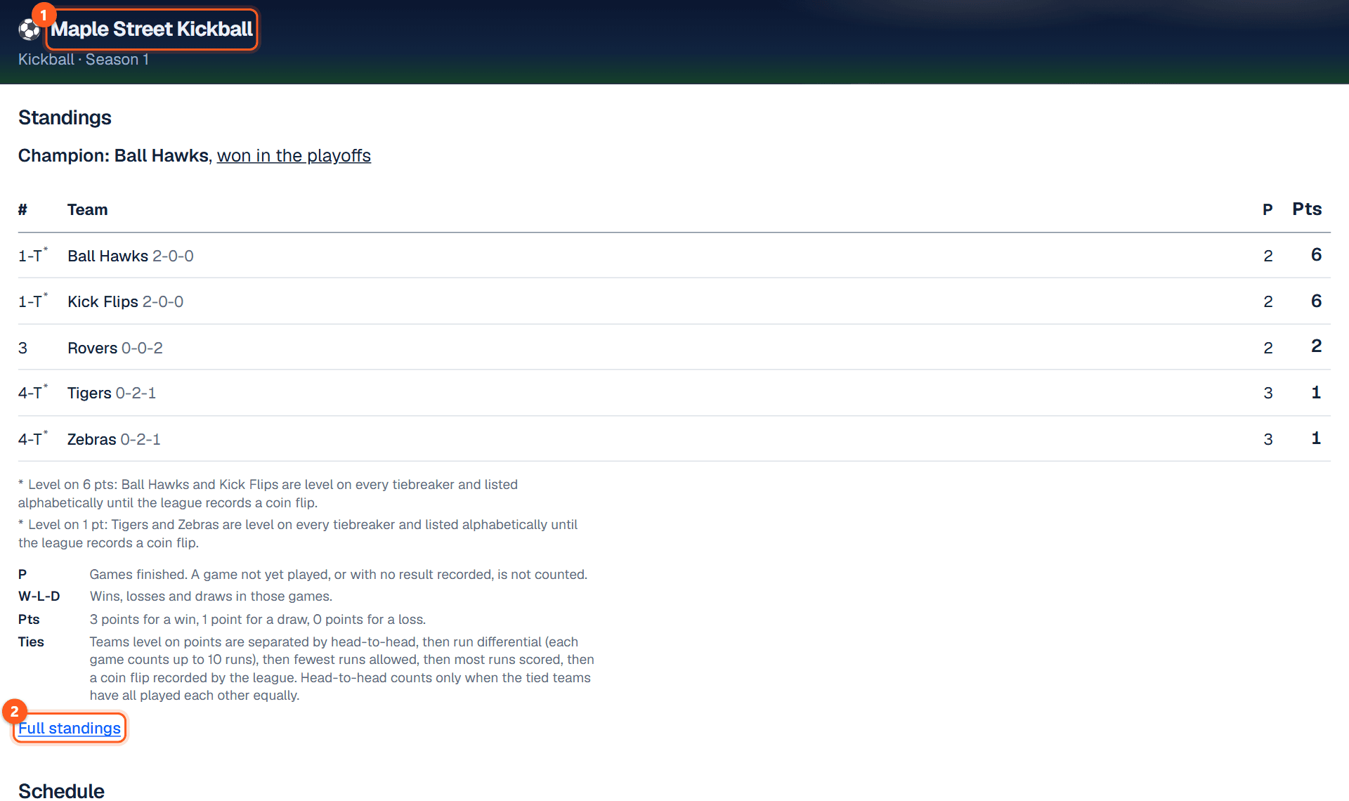 The website widget on its own, showing standings